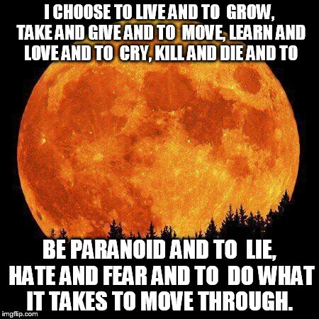 Choices | I CHOOSE TO LIVE AND TO GROW, TAKE AND GIVE AND TO MOVE, LEARN AND LOVE AND TO CRY, KILL AND DIE AND TO BE PARANOID AND TO LIE, HATE AND | image tagged in tool | made w/ Imgflip meme maker