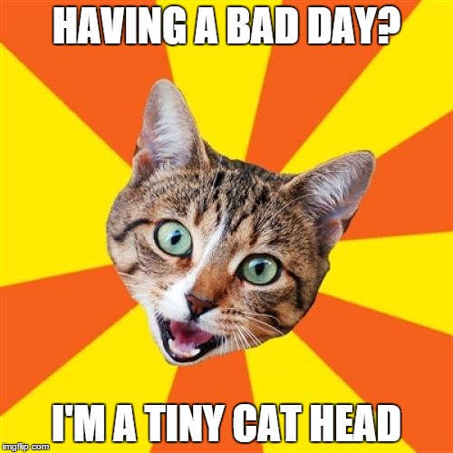 Bad Advice Cat Meme | HAVING A BAD DAY? I'M A TINY CAT HEAD | image tagged in memes,bad advice cat | made w/ Imgflip meme maker