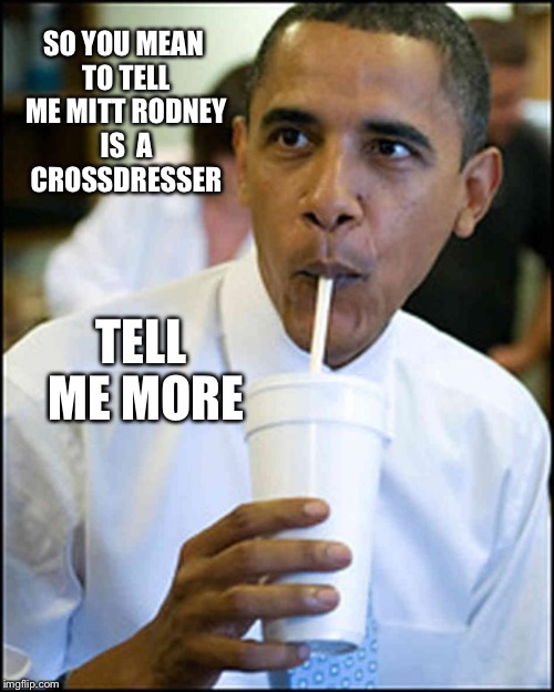 obama soda | SO YOU MEAN TO TELL ME MITT RODNEY IS  A CROSSDRESSER TELL ME MORE | image tagged in obama soda | made w/ Imgflip meme maker
