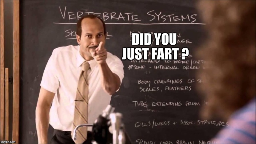 Key and Peele Substitute Teacher | DID YOU JUST FART ? | image tagged in key and peele substitute teacher | made w/ Imgflip meme maker