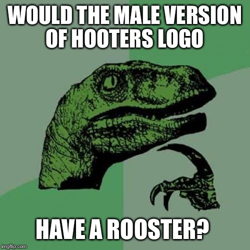 Philosoraptor Meme | WOULD THE MALE VERSION OF HOOTERS LOGO HAVE A ROOSTER? | image tagged in memes,philosoraptor | made w/ Imgflip meme maker