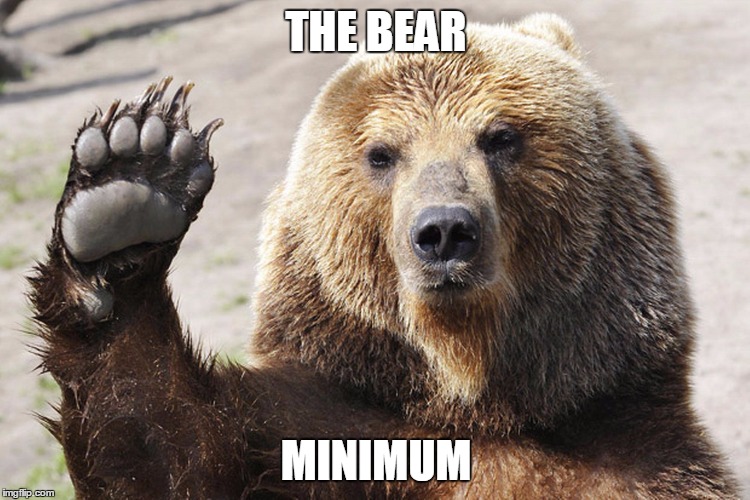 THE BEAR MINIMUM | image tagged in bear | made w/ Imgflip meme maker