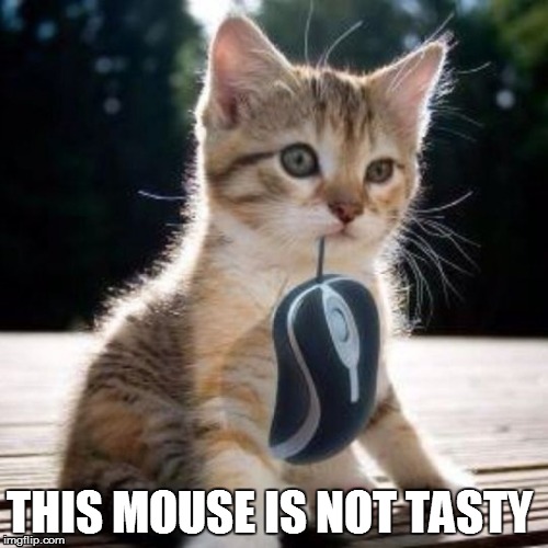 Cat with computer mouse | THIS MOUSE IS NOT TASTY | image tagged in cat with computer mouse | made w/ Imgflip meme maker