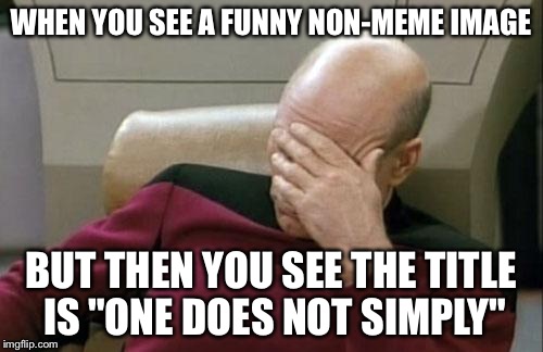 It's called: upload your own image | WHEN YOU SEE A FUNNY NON-MEME IMAGE BUT THEN YOU SEE THE TITLE IS "ONE DOES NOT SIMPLY" | image tagged in memes,captain picard facepalm | made w/ Imgflip meme maker