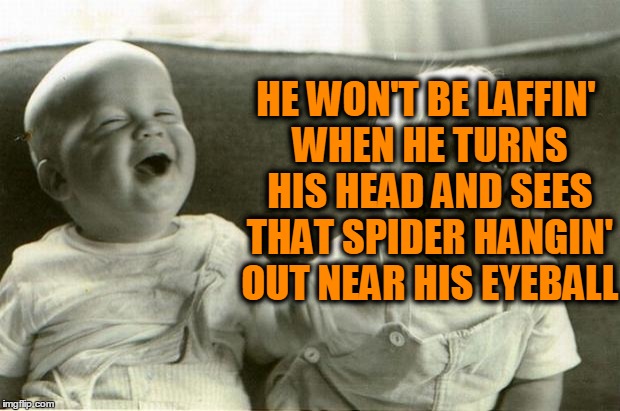HappySadBabies | HE WON'T BE LAFFIN' WHEN HE TURNS HIS HEAD AND SEES THAT SPIDER HANGIN' OUT NEAR HIS EYEBALL | image tagged in happysadbabies | made w/ Imgflip meme maker