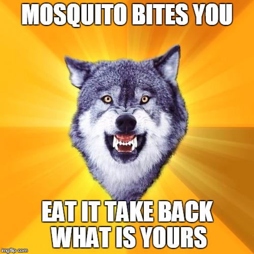 Courage Wolf Meme | MOSQUITO BITES YOU EAT IT TAKE BACK WHAT IS YOURS | image tagged in memes,courage wolf | made w/ Imgflip meme maker