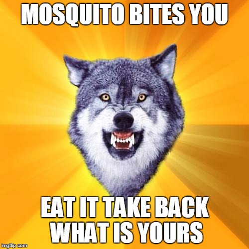 Courage Wolf | MOSQUITO BITES YOU EAT IT TAKE BACK WHAT IS YOURS | image tagged in memes,courage wolf | made w/ Imgflip meme maker