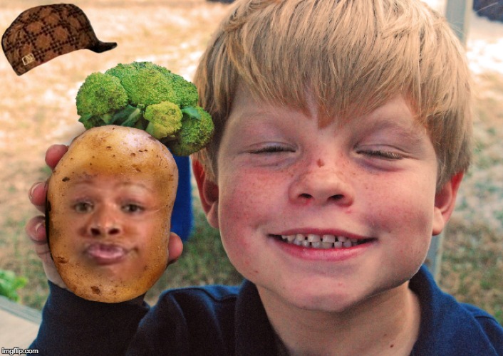 potato land | image tagged in meme,potato | made w/ Imgflip meme maker