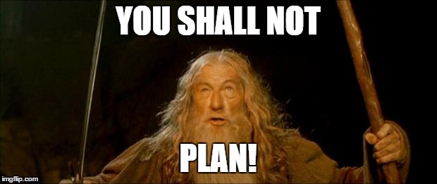 gandalf you shall not pass | YOU SHALL NOT PLAN! | image tagged in gandalf you shall not pass | made w/ Imgflip meme maker