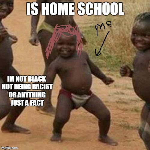 Third World Success Kid Meme | IS HOME SCHOOL IM NOT BLACK NOT BEING RACIST OR ANYTHING JUST A FACT | image tagged in memes,third world success kid | made w/ Imgflip meme maker