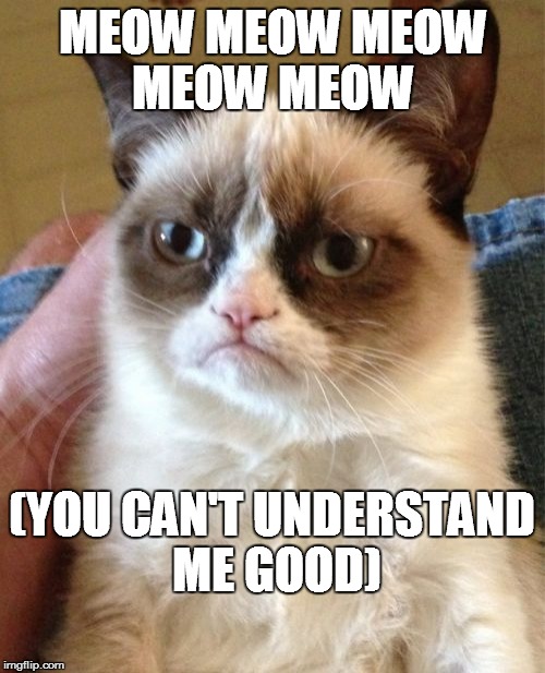 Grumpy Cat Meme | MEOW MEOW MEOW MEOW MEOW (YOU CAN'T UNDERSTAND ME GOOD) | image tagged in memes,grumpy cat | made w/ Imgflip meme maker