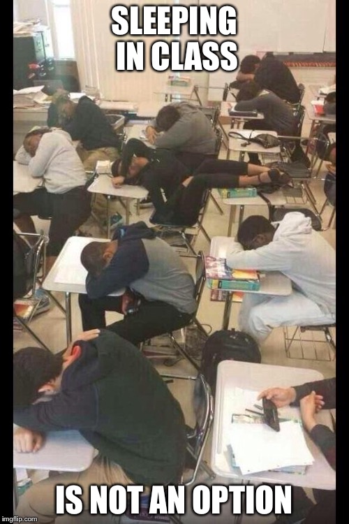 First Day of School | SLEEPING IN CLASS IS NOT AN OPTION | image tagged in first day of school | made w/ Imgflip meme maker