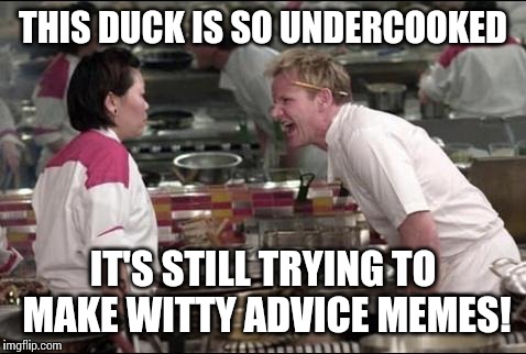 Angry Chef Gordon Ramsay | THIS DUCK IS SO UNDERCOOKED IT'S STILL TRYING TO MAKE WITTY ADVICE MEMES! | image tagged in memes,angry chef gordon ramsay | made w/ Imgflip meme maker