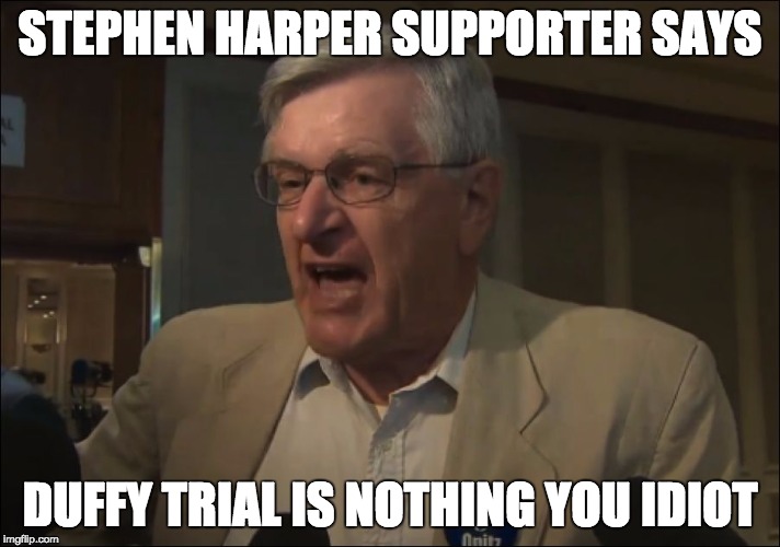 Conservative-supporter | STEPHEN HARPER SUPPORTER SAYS DUFFY TRIAL IS NOTHING YOU IDIOT | image tagged in lying_piece_of_sht | made w/ Imgflip meme maker