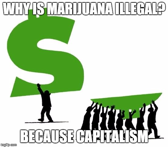 WHY IS MARIJUANA ILLEGAL? BECAUSE CAPITALISM | image tagged in because capitalism | made w/ Imgflip meme maker