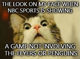 shocked cat | THE LOOK ON MY FACE WHEN NBC SPORTS IS SHOWING A GAME NOT INVOLVING THE FLYERS OR PENGUINS | image tagged in shocked cat,nhl,hockey | made w/ Imgflip meme maker