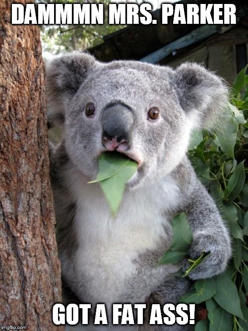 Surprised Koala | DAMMMN MRS. PARKER GOT A FAT ASS! | image tagged in memes,surprised koala | made w/ Imgflip meme maker