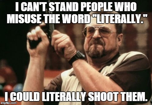 Am I The Only One Around Here Meme | I CAN'T STAND PEOPLE WHO MISUSE THE WORD "LITERALLY." I COULD LITERALLY SHOOT THEM. | image tagged in memes,am i the only one around here | made w/ Imgflip meme maker