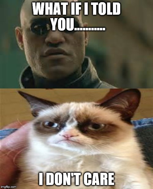 what if I told you | WHAT IF I TOLD YOU........... I DON'T CARE | image tagged in matrix morpheus,grumpy cat | made w/ Imgflip meme maker