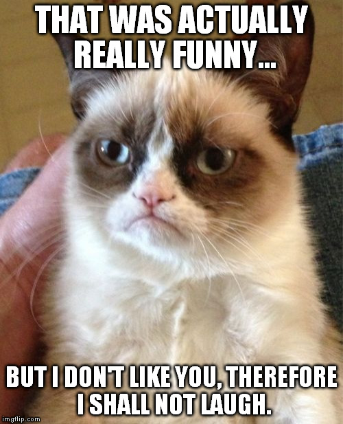 Grumpy Cat | THAT WAS ACTUALLY REALLY FUNNY... BUT I DON'T LIKE YOU, THEREFORE I SHALL NOT LAUGH. | image tagged in memes,grumpy cat | made w/ Imgflip meme maker