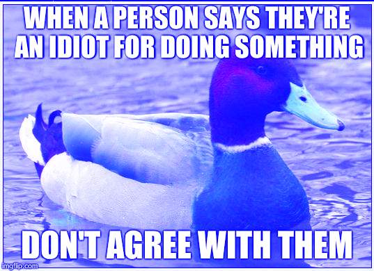 I think the blue screen is sort of stylish | WHEN A PERSON SAYS THEY'RE AN IDIOT FOR DOING SOMETHING DON'T AGREE WITH THEM | image tagged in memes,actual advice mallard | made w/ Imgflip meme maker