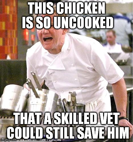 Chef Gordon Ramsay Meme | THIS CHICKEN IS SO UNCOOKED THAT A SKILLED VET COULD STILL SAVE HIM | image tagged in memes,chef gordon ramsay | made w/ Imgflip meme maker