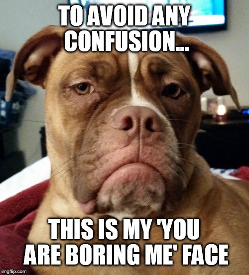 TO AVOID ANY CONFUSION... THIS IS MY 'YOU ARE BORING ME' FACE | image tagged in bored,confused,dogs | made w/ Imgflip meme maker