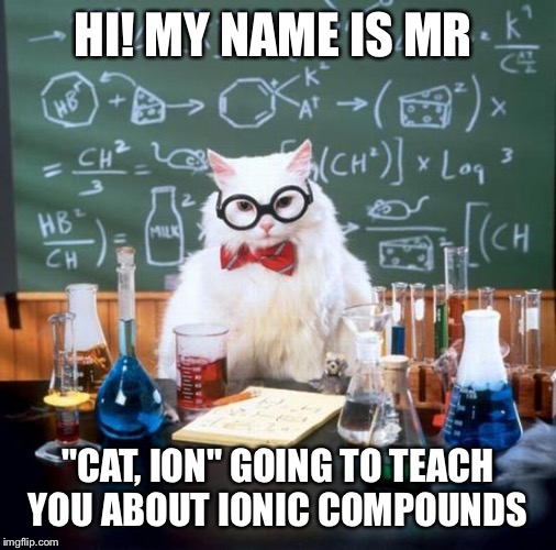 Chemistry Cat Meme | HI! MY NAME IS MR "CAT, ION" GOING TO TEACH YOU ABOUT IONIC COMPOUNDS | image tagged in memes,chemistry cat | made w/ Imgflip meme maker