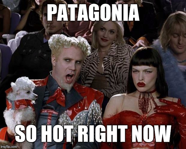 Mugatu So Hot Right Now Meme | PATAGONIA SO HOT RIGHT NOW | image tagged in memes,mugatu so hot right now,patagonia,merino wool | made w/ Imgflip meme maker