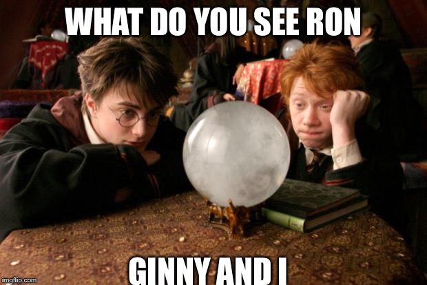 Harry Potter meme | WHAT DO YOU SEE RON GINNY AND I | image tagged in harry potter meme | made w/ Imgflip meme maker