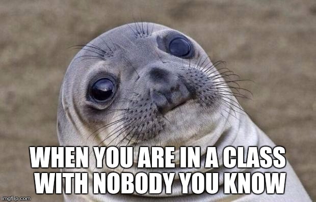 Awkward Moment Sealion | WHEN YOU ARE IN A CLASS WITH NOBODY YOU KNOW | image tagged in memes,awkward moment sealion,school | made w/ Imgflip meme maker