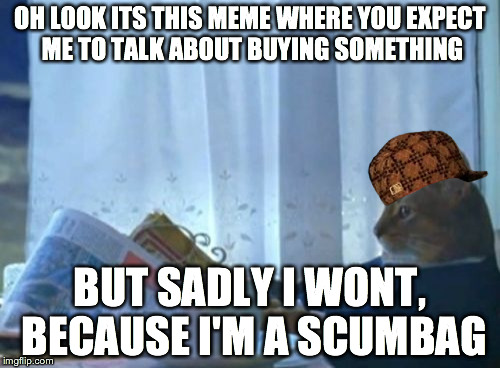 I Should Buy A Boat Cat Meme | OH LOOK ITS THIS MEME WHERE YOU EXPECT ME TO TALK ABOUT BUYING SOMETHING BUT SADLY I WONT, BECAUSE I'M A SCUMBAG | image tagged in memes,i should buy a boat cat,scumbag | made w/ Imgflip meme maker