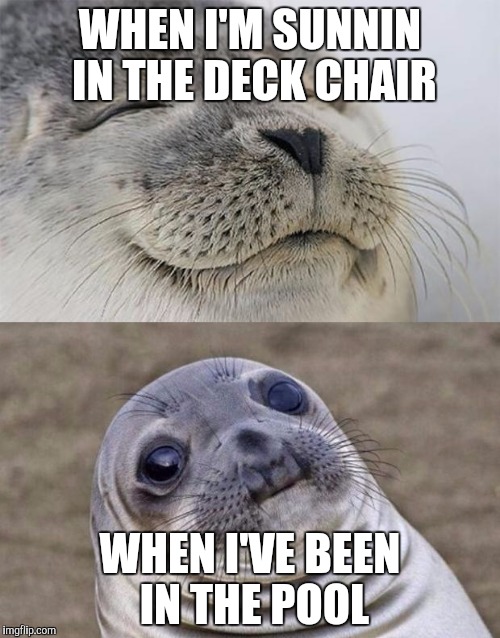 Shrinkage! | WHEN I'M SUNNIN IN THE DECK CHAIR WHEN I'VE BEEN IN THE POOL | image tagged in memes,short satisfaction vs truth | made w/ Imgflip meme maker