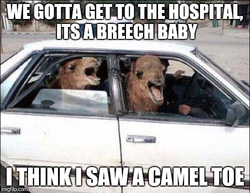 Special delivery! | WE GOTTA GET TO THE HOSPITAL, ITS A BREECH BABY I THINK I SAW A CAMEL TOE | image tagged in memes,quit hatin | made w/ Imgflip meme maker