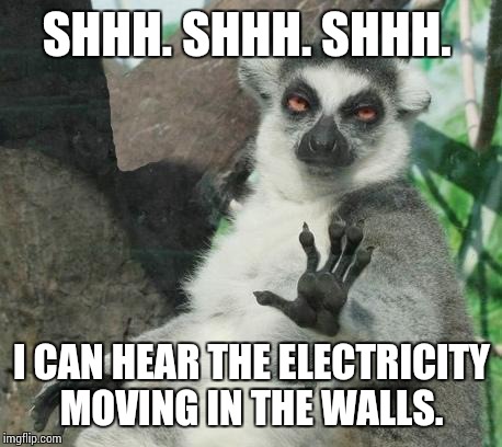 Stoner Lemur Meme | SHHH. SHHH. SHHH. I CAN HEAR THE ELECTRICITY MOVING IN THE WALLS. | image tagged in memes,stoner lemur | made w/ Imgflip meme maker