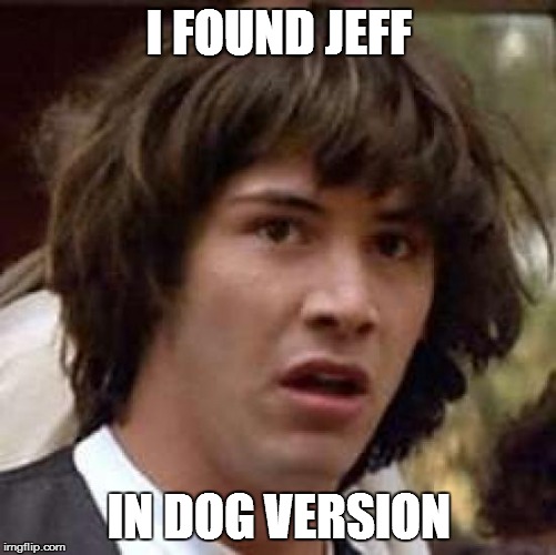 Conspiracy Keanu Meme | I FOUND JEFF IN DOG VERSION | image tagged in memes,conspiracy keanu | made w/ Imgflip meme maker