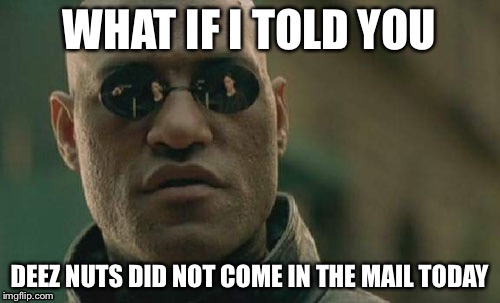 Matrix Morpheus | WHAT IF I TOLD YOU DEEZ NUTS DID NOT COME IN THE MAIL TODAY | image tagged in memes,matrix morpheus | made w/ Imgflip meme maker