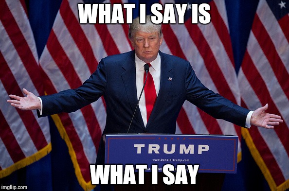 Donald Trump | WHAT I SAY IS WHAT I SAY | image tagged in donald trump | made w/ Imgflip meme maker