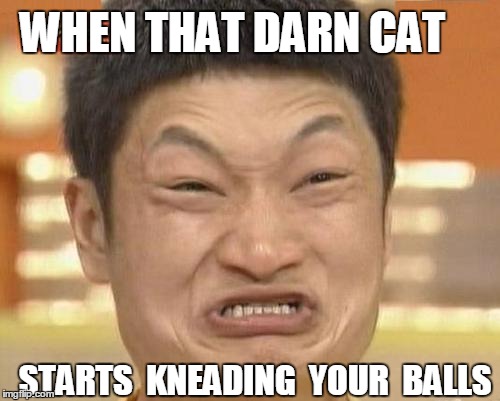 Impossibru Guy Original Meme | WHEN THAT DARN CAT STARTS  KNEADING  YOUR  BALLS | image tagged in memes,impossibru guy original | made w/ Imgflip meme maker