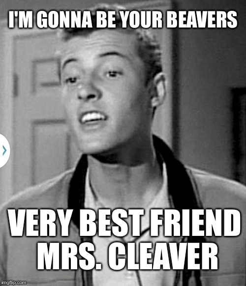 Rod Lee | I'M GONNA BE YOUR BEAVERS VERY BEST FRIEND MRS. CLEAVER | image tagged in beaver | made w/ Imgflip meme maker