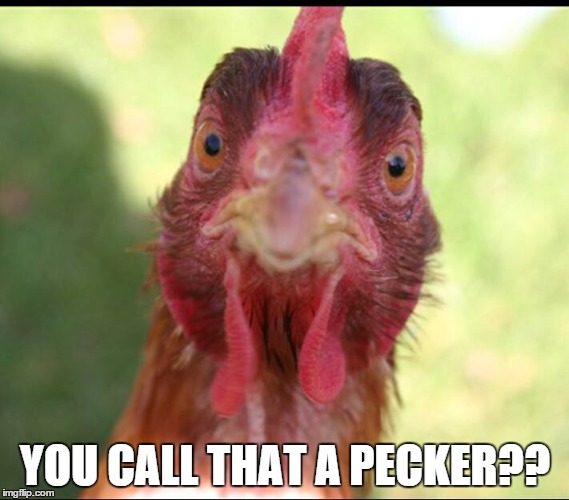 Pecker | YOU CALL THAT A PECKER?? | image tagged in you call that a pecker | made w/ Imgflip meme maker