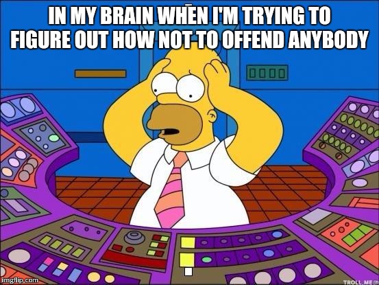 homer  | IN MY BRAIN WHEN I'M TRYING TO FIGURE OUT HOW NOT TO OFFEND ANYBODY | image tagged in homer  | made w/ Imgflip meme maker