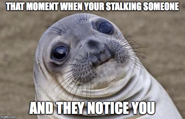 Awkward Moment Sealion | THAT MOMENT WHEN YOUR STALKING SOMEONE AND THEY NOTICE YOU | image tagged in memes,awkward moment sealion | made w/ Imgflip meme maker