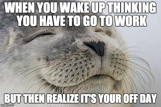 Satisfied Seal Meme | WHEN YOU WAKE UP THINKING YOU HAVE TO GO TO WORK BUT THEN REALIZE IT'S YOUR OFF DAY | image tagged in memes,satisfied seal | made w/ Imgflip meme maker