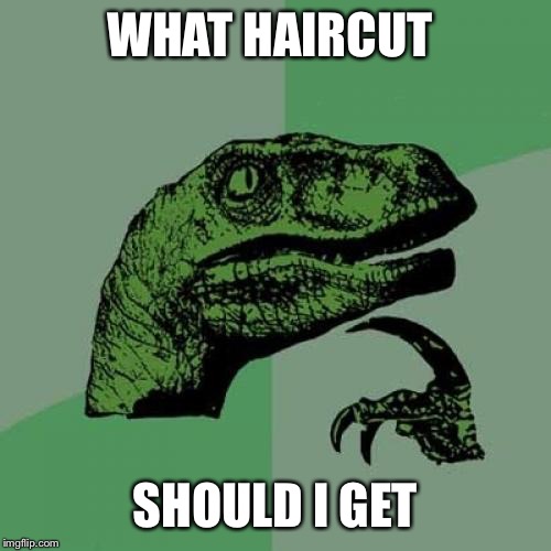 Philosoraptor | WHAT HAIRCUT SHOULD I GET | image tagged in memes,philosoraptor | made w/ Imgflip meme maker