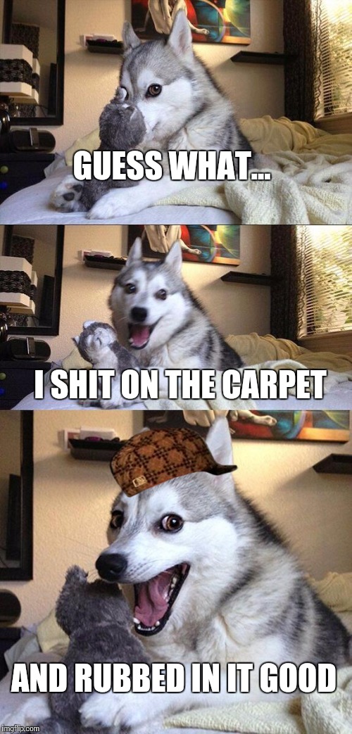 Bad Pun Dog Meme | GUESS WHAT... I SHIT ON THE CARPET AND RUBBED IN IT GOOD | image tagged in memes,bad pun dog,scumbag | made w/ Imgflip meme maker