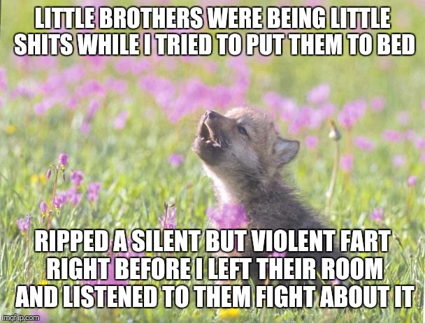 Baby Insanity Wolf | LITTLE BROTHERS WERE BEING LITTLE SHITS WHILE I TRIED TO PUT THEM TO BED RIPPED A SILENT BUT VIOLENT FART RIGHT BEFORE I LEFT THEIR ROOM AND | image tagged in memes,baby insanity wolf,AdviceAnimals | made w/ Imgflip meme maker