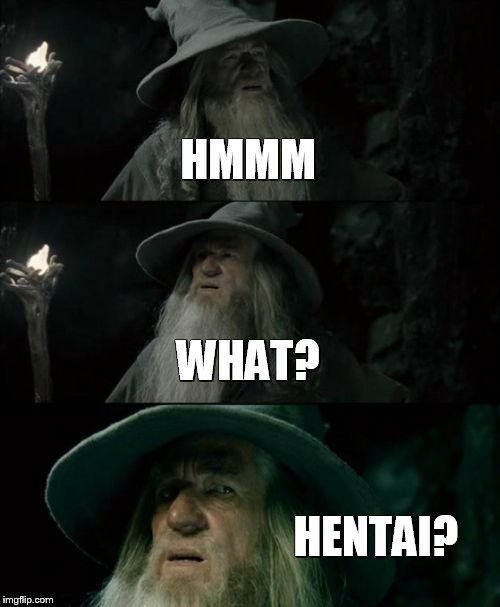 Confused Gandalf Meme | HMMM WHAT? HENTAI? | image tagged in memes,confused gandalf | made w/ Imgflip meme maker