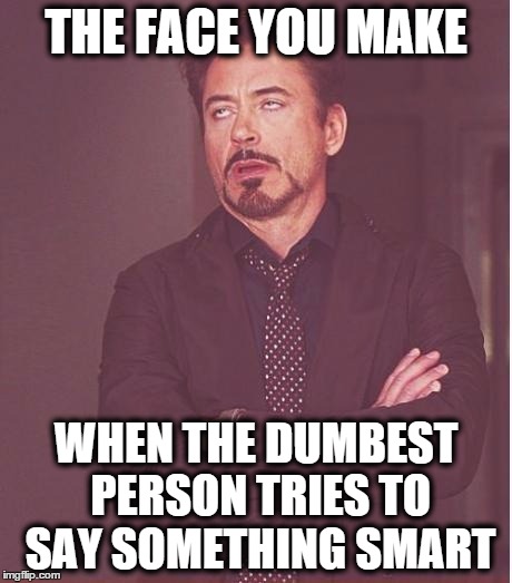 Face You Make | THE FACE YOU MAKE WHEN THE DUMBEST PERSON TRIES TO SAY SOMETHING SMART | image tagged in memes,face you make robert downey jr | made w/ Imgflip meme maker