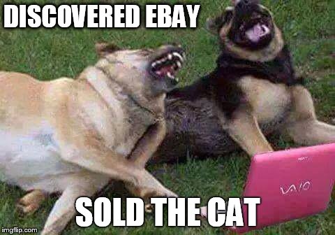 DISCOVERED EBAY SOLD THE CAT | image tagged in funny dogs | made w/ Imgflip meme maker